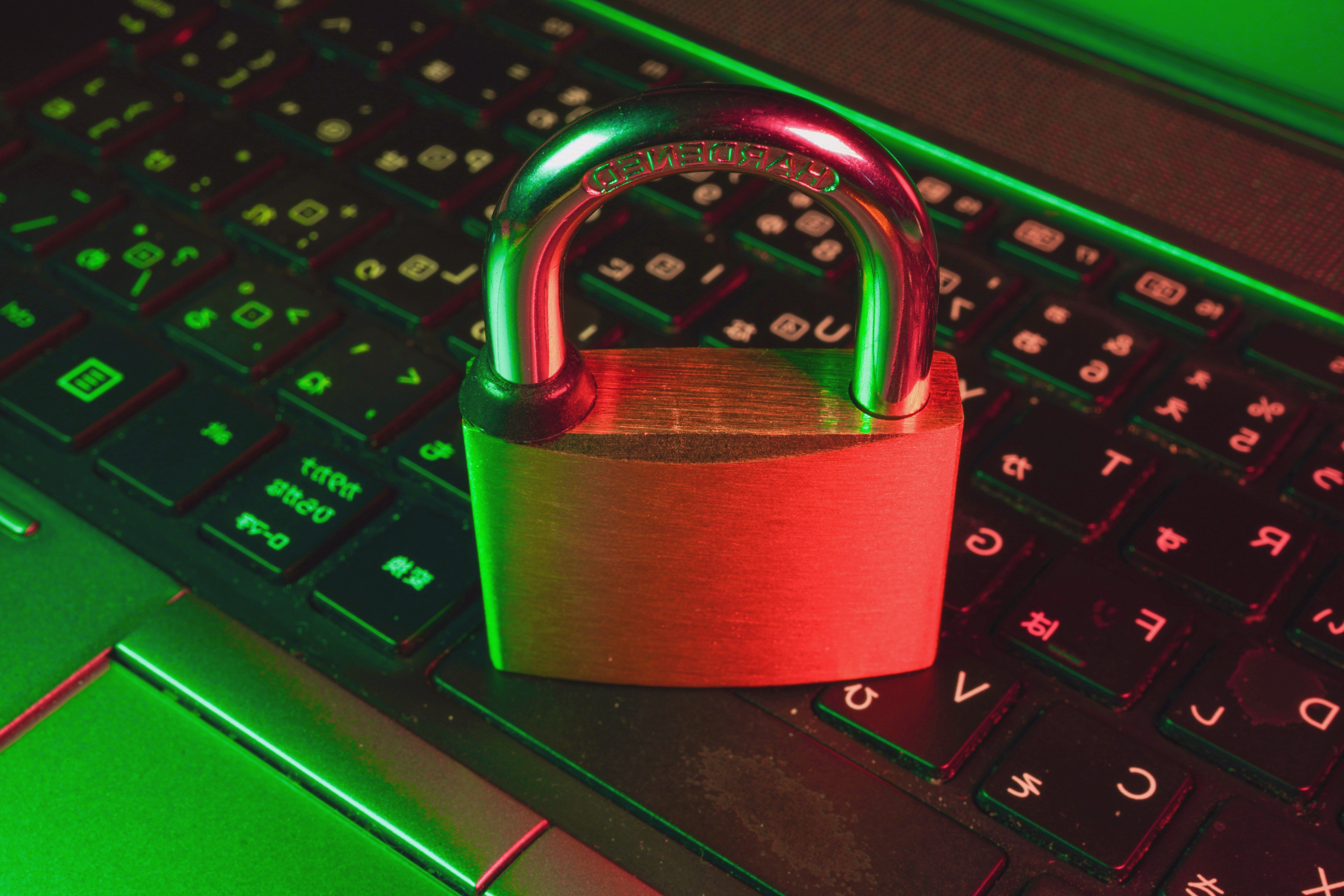 Check Point download